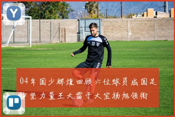 04年国少辉煌回顾六位球员成国足中坚力量王大雷于大宝杨旭领衔