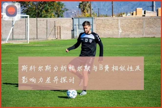 斯科尔斯分析帕尔默与B费相似性及影响力差异探讨